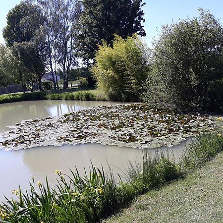 Comme A La Maison Pres Des Chateaux De La Loire Feings  Ngoại thất bức ảnh