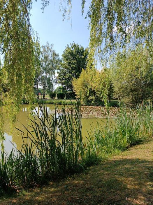 Comme A La Maison Pres Des Chateaux De La Loire Feings  Ngoại thất bức ảnh